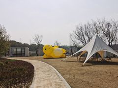 -同里国家湿地公园