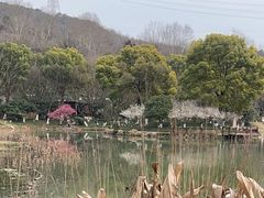 -八卦田遗址公园