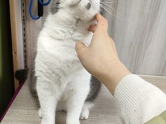 -派特宠物医院(圆融广场店)