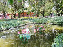 -云南民族村