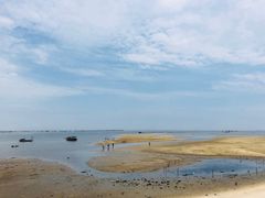 -北海金海湾红树林生态旅游区