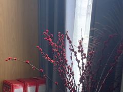 -君之悦·影院式足道·养生SPA(回兴店)