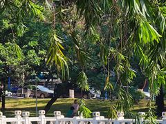 -北京西山国家森林公园