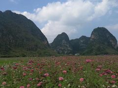 -靖西鹅泉风景区