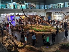 -自贡恐龙博物馆