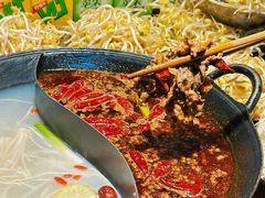 -阳阳老火锅(小南门店)