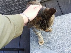 -UNI UNI(环亚凯瑟琳店)