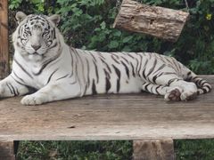 -石家庄市动物园