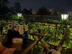 -Sirena海妖日咖夜酒