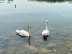 -朝阳公园