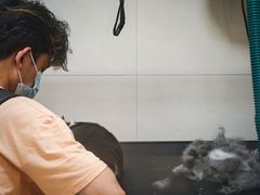 -悠尼宠物·独立低压伊珊娜洗护·美容·寄养(兰谷路店)