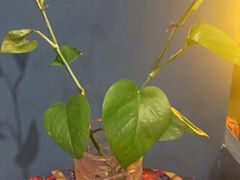 -韵泰·泰式按摩SPA(万象城店)