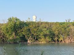 -上海吴淞炮台湾国家湿地公园