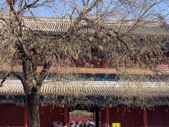 -潭柘寺景区