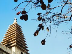 -北京石刻艺术博物馆(五塔寺)