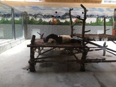 -西安秦岭野生动物园