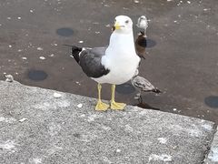 -星海广场