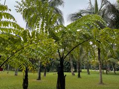 -中国科学院西双版纳热带植物园