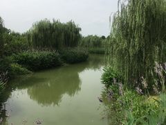 景点-嬉乐湾休闲旅游区