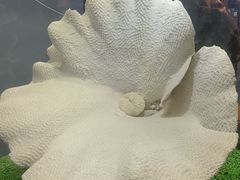 -游龙石文化科普馆