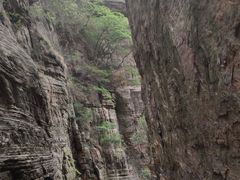 -龙潭大峡谷