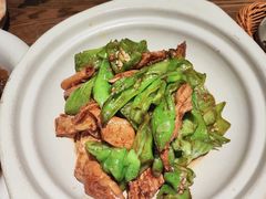 -鸽子窝(青塔店)