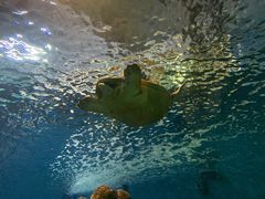 -上海海洋水族馆