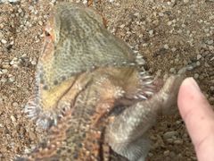 -自然博物馆新馆2楼餐厅