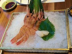 -Mr.Fish鱼鲜生海鲜放题(高德置地冬广场店)