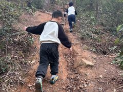 -青龙山国家森林公园