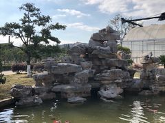 -呼吸森林·生态农庄农家乐私房菜