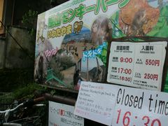 -岚山猴子公园