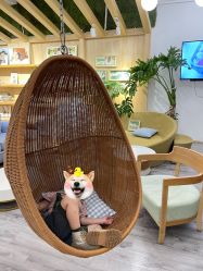 -七色田儿童摄影(静安店)
