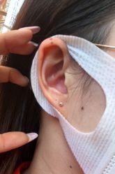 -花师傅