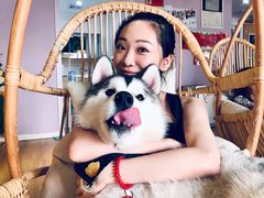 -Husky Go! 哈士奇体验馆·宠物咖啡厅狗咖