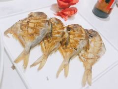 -红果树(江光店)