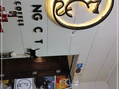-滚猫咖啡·猫咖·猫友好撸猫(未来城店)