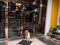 -火车头法国西餐厅