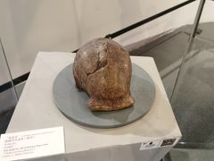 -北京周口店北京人遗址博物馆