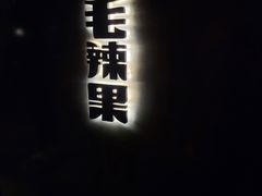 -毛辣果·酸(OHA复兴西路店)