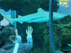 -乐从天佑城海洋馆
