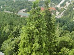 -龙口南山旅游景区