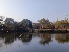 -无锡蠡湖国家湿地公园-蠡园