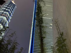 -The lounge 柏悦酒店大堂酒廊(上海环球金融中心店)