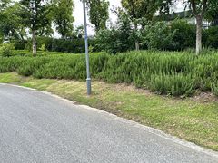 -阳澄湖半岛旅游度假区