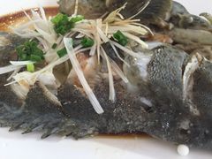 -海岛渔村大酒店(云霄路店)