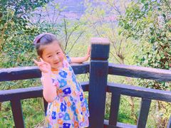 -紫金山山顶公园