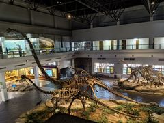 -自贡恐龙博物馆