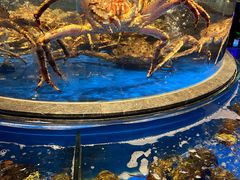 -上和臻品中国菜(花园街店)