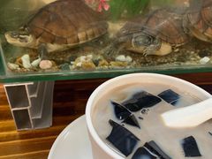 -梧州双钱龟苓膏(丽港航母店)